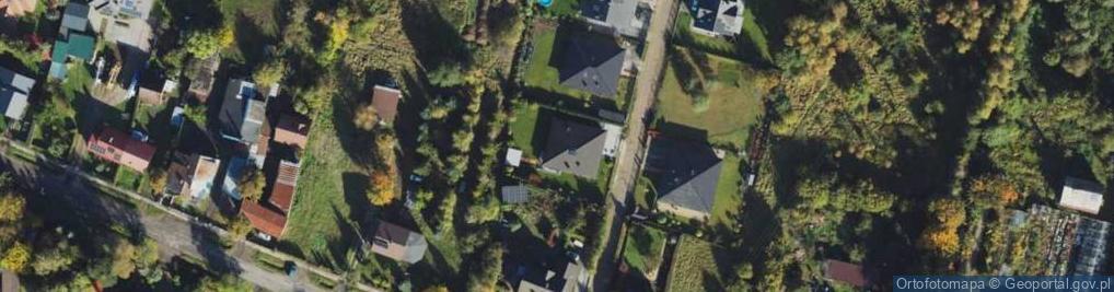 Zdjęcie satelitarne Signum Sylwia Kozieł