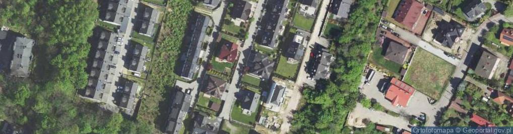 Zdjęcie satelitarne Silesian Steel