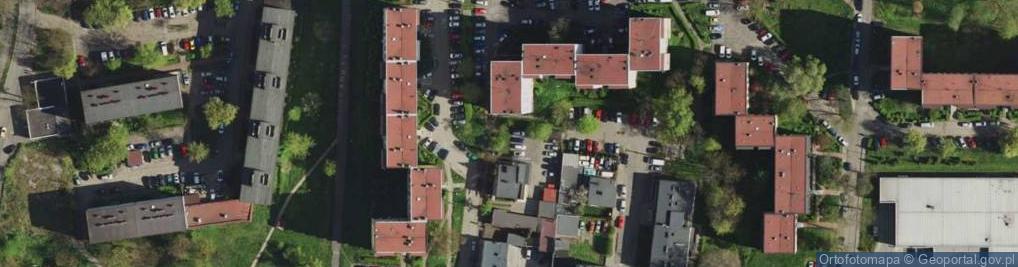 Zdjęcie satelitarne Silwa