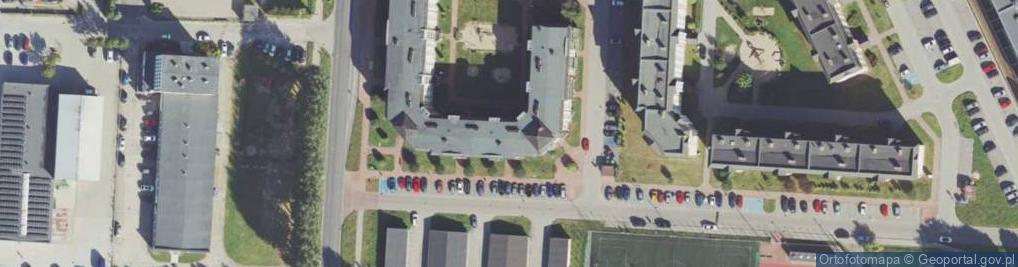 Zdjęcie satelitarne "Sinuit" Paweł Głuchowski