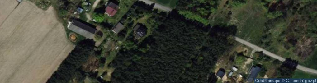 Zdjęcie satelitarne Skalniak - Ogrody Jan Anyszka