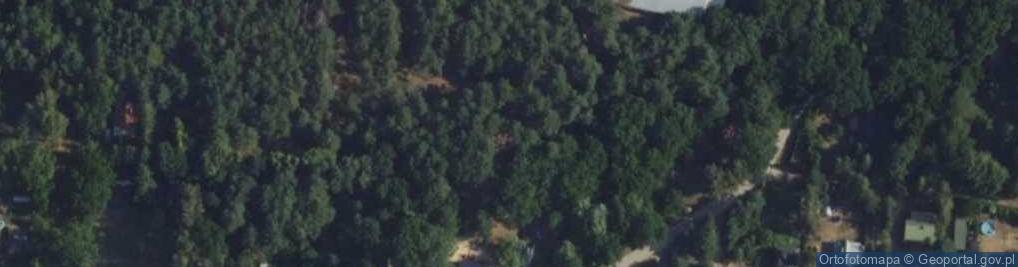 Zdjęcie satelitarne Skup i Przetwórstwo Owoców i Warzyw Handel i Pośrednictwo Sajnóg M M