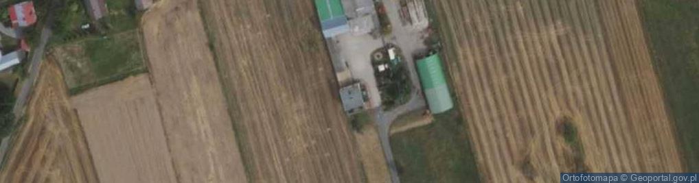 Zdjęcie satelitarne Skup i Sprzedaż Pieczarek Export Import Marek Andrzejewski Elżbieciny