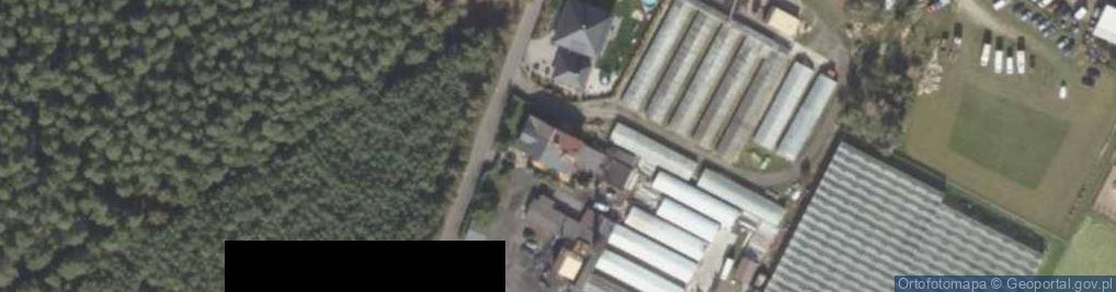Zdjęcie satelitarne Śmigielska Grupa Producentów Grzybów