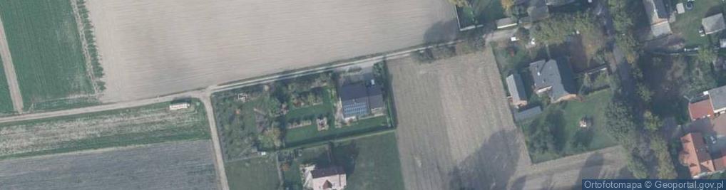 Zdjęcie satelitarne Softweb