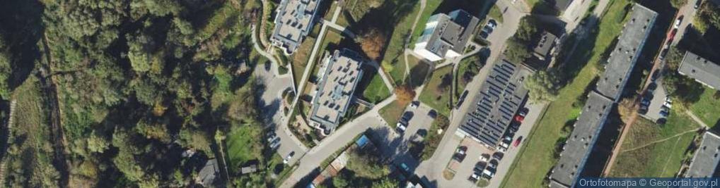 Zdjęcie satelitarne Sonia Sebastian Simaniuksztys