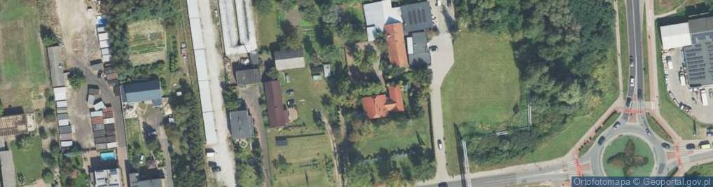 Zdjęcie satelitarne Sosna