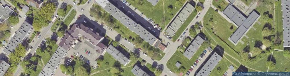 Zdjęcie satelitarne Sprzedaż Hurtowa i Detaliczna Kwiatów