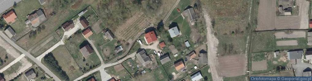 Zdjęcie satelitarne Stokrotka