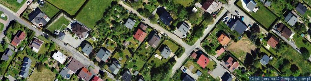 Zdjęcie satelitarne Stokrotka