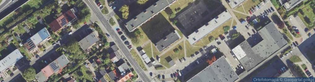 Zdjęcie satelitarne Stokrotka