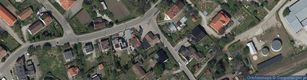Zdjęcie satelitarne Stokrotka