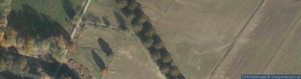 Zdjęcie satelitarne Stowarzyszenie Charytatywne Ludzie Ludziom Bezdomnej Braci Leśnej