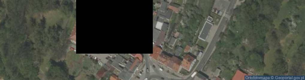 Zdjęcie satelitarne Stowarzyszenie Inicjatorzy Zmian