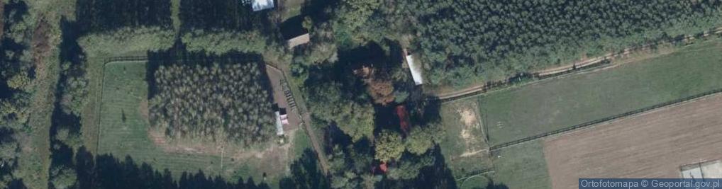 Zdjęcie satelitarne Suchocki Consulting
