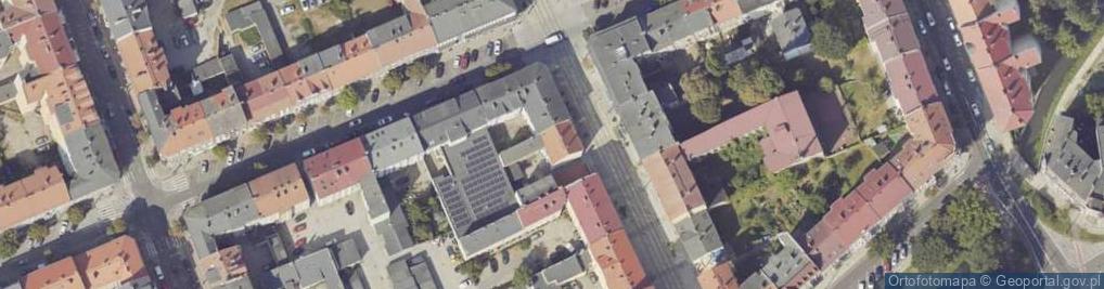 Zdjęcie satelitarne Świat Czterech Łap Kamila Magdalena Nowakowska