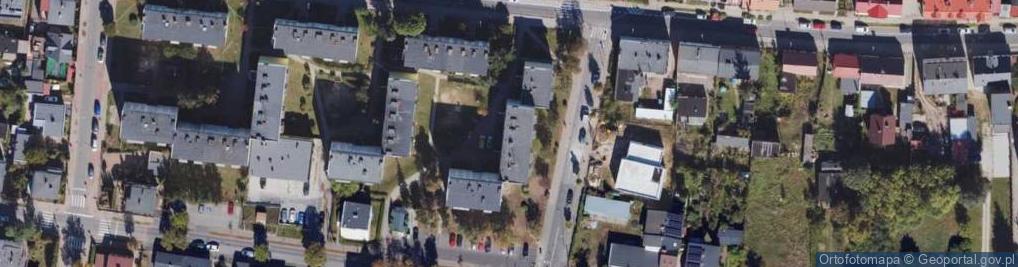 Zdjęcie satelitarne Świat - Malucha Marzena Grabska