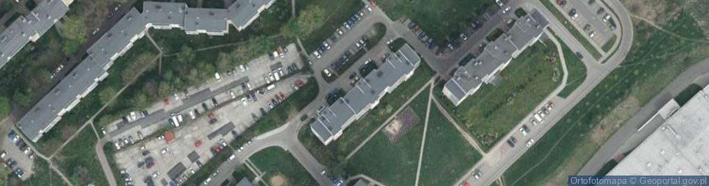 Zdjęcie satelitarne Sylwia Krzywańska