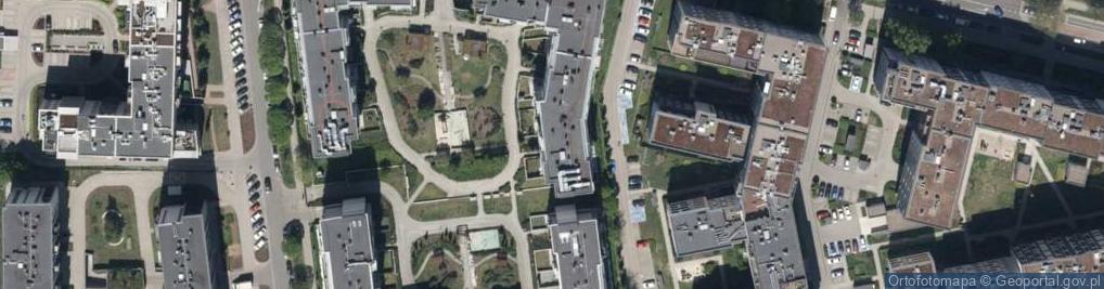 Zdjęcie satelitarne Sylwia Maciejewska-Sidoruk