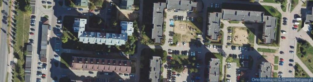 Zdjęcie satelitarne Sylwia Wierzbicka