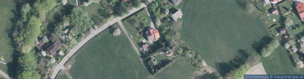 Zdjęcie satelitarne Sylwia Żila - Działalność Gospodarcza