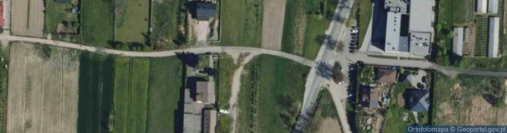 Zdjęcie satelitarne Szafran Marzena Kowalska