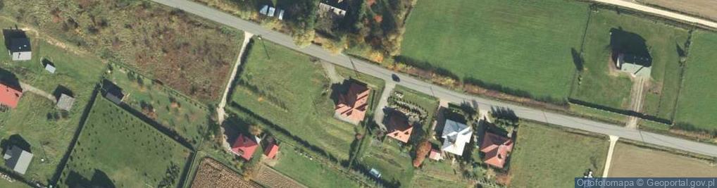 Zdjęcie satelitarne Szklarnia Bieniek Wioletta