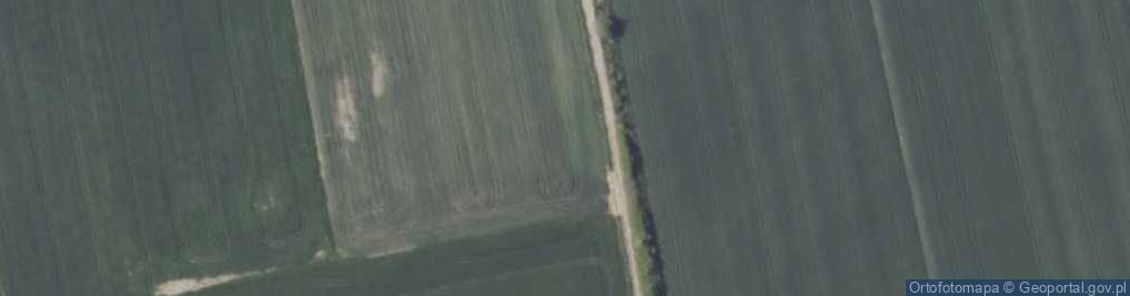 Zdjęcie satelitarne Szkółka Drzew i Krzewów Jaskuła - Drzewa Alejowe