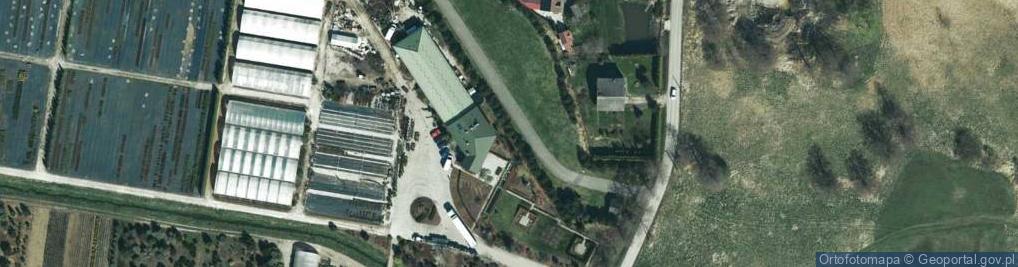 Zdjęcie satelitarne Szkółka Krzewów Ozdobnych i Róż Bogdan Hajdrowski