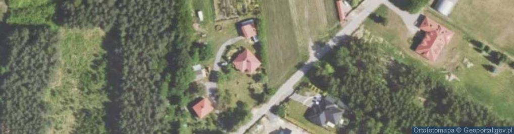 Zdjęcie satelitarne "Szkółka pod Modrzewiem" Iglaki Świętokrzyskie Janik D