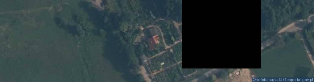 Zdjęcie satelitarne Szkółka Roślin Ozdobnych "Dammera"