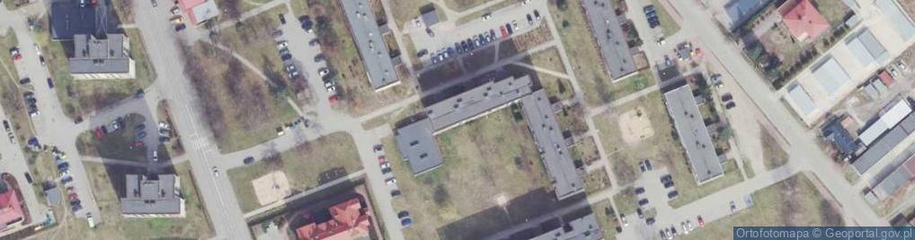 Zdjęcie satelitarne Tadeusz Adamiec - Działalność Gospodarcza