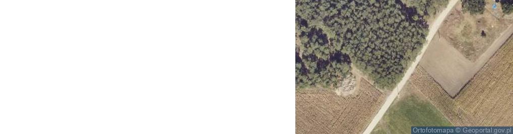 Zdjęcie satelitarne Tadeusz Konopa Ta.K.Bud.