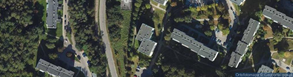 Zdjęcie satelitarne Tadeusz Kulej - Działalność Gospodarcza