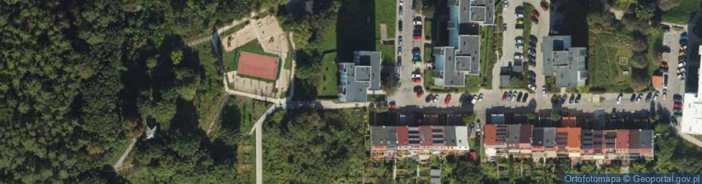 Zdjęcie satelitarne Tadeusz Tarnowski