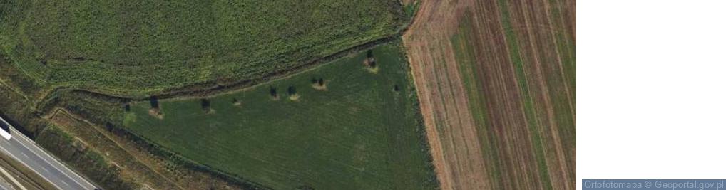 Zdjęcie satelitarne Targosz Andrzej Mieczysław Administrator