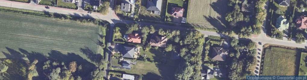 Zdjęcie satelitarne Temis