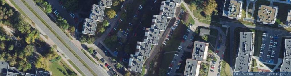 Zdjęcie satelitarne Teresa Balion - Działalność Gospodarcza