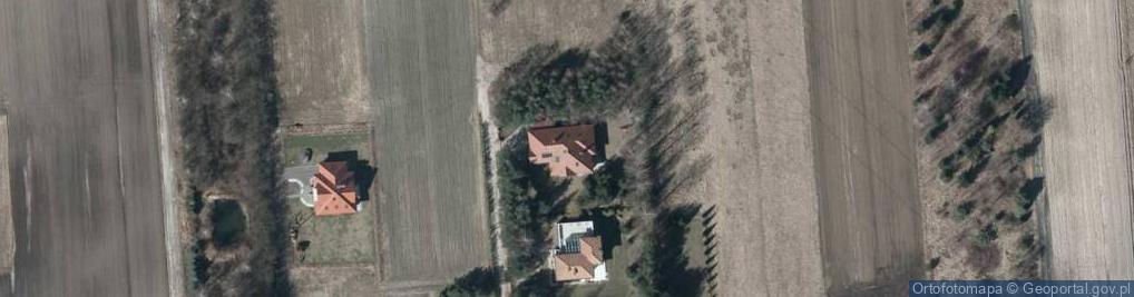 Zdjęcie satelitarne The Point Jarosław Kropielnicki