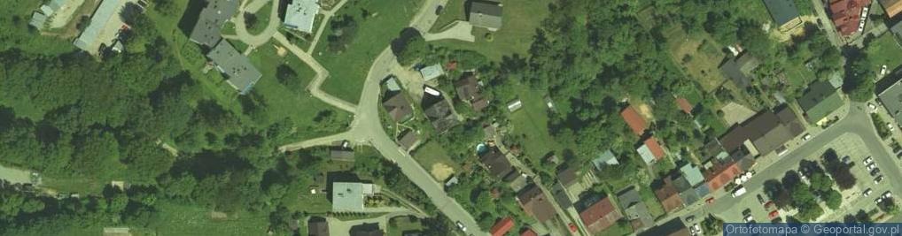 Zdjęcie satelitarne Tomasz Izworski - Działalność Gospodarcza