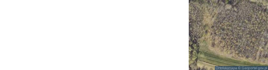 Zdjęcie satelitarne Tomasz Krajewski