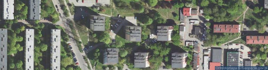 Zdjęcie satelitarne Tomasz Merta