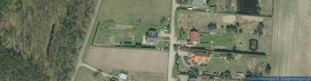 Zdjęcie satelitarne Tomasz Mitura - Działalność Gospodarcza