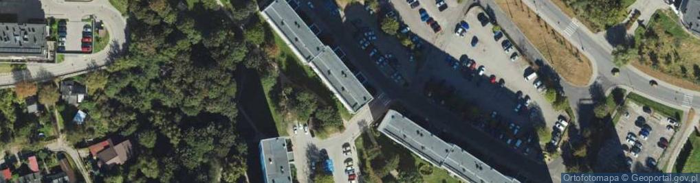 Zdjęcie satelitarne Tomasz Moksa
