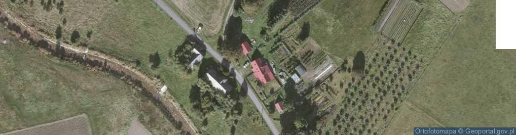 Zdjęcie satelitarne Tomasz PawlakPRACOWNIA Arborystyczno-Projektowa