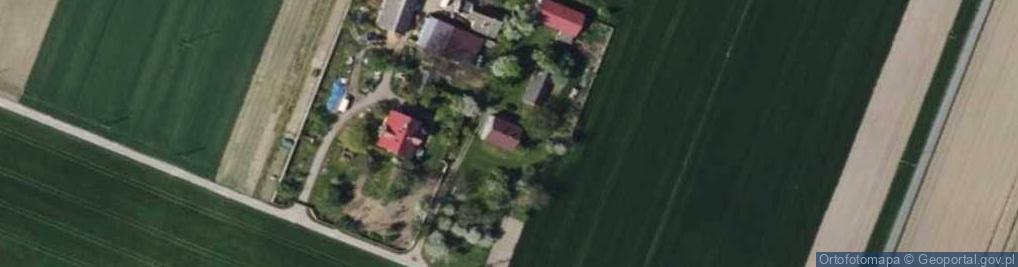 Zdjęcie satelitarne Tomasz Trocha - Działalność Gospodarcza