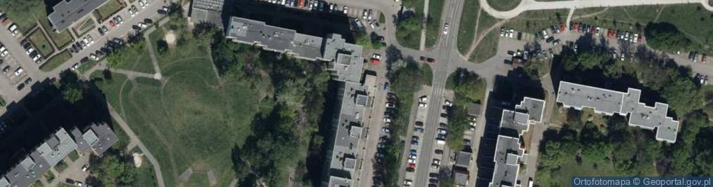 Zdjęcie satelitarne Tomasz Witorzeńć - Działalność Gospodarcza