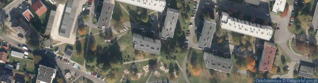 Zdjęcie satelitarne Tomczyński Władysław