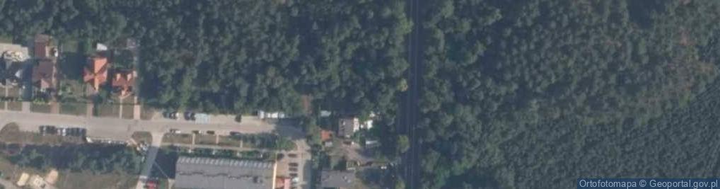 Zdjęcie satelitarne Tomek