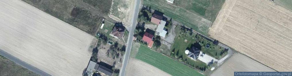 Zdjęcie satelitarne Torbex